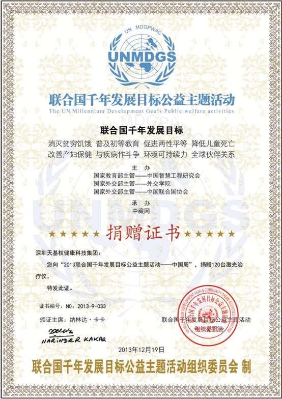 联合国千年发展目标荣誉证书